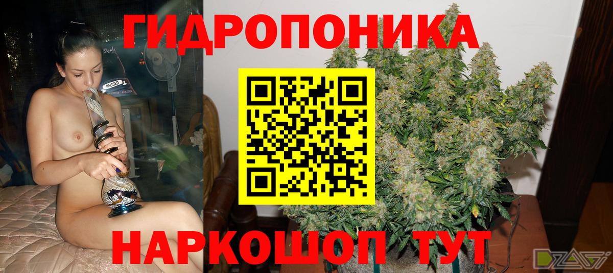 Бошки марихуана THC 21%  Конопля марихуана  Вход с VPN  Артём 
